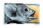 Preview: "Fisch"